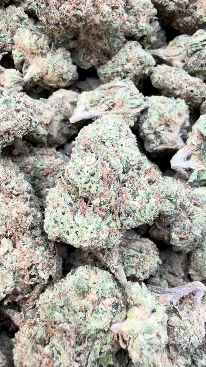 Gelato Kush Mediums - Bulk Mediums - Indica