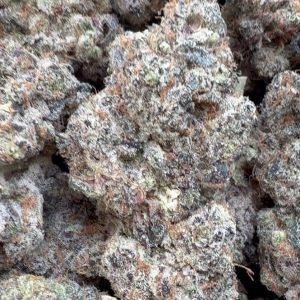 Garlic Cookies Indoor - Bulk - Hybrid