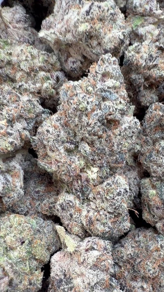 Garlic Cookies Indoor - Bulk - Hybrid