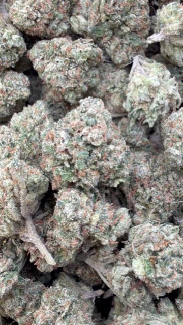 Citrus Kush - Bulk - Indica