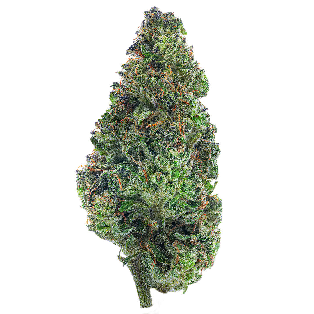ZAZA - Bubba Kush - 14 Grams - Indica