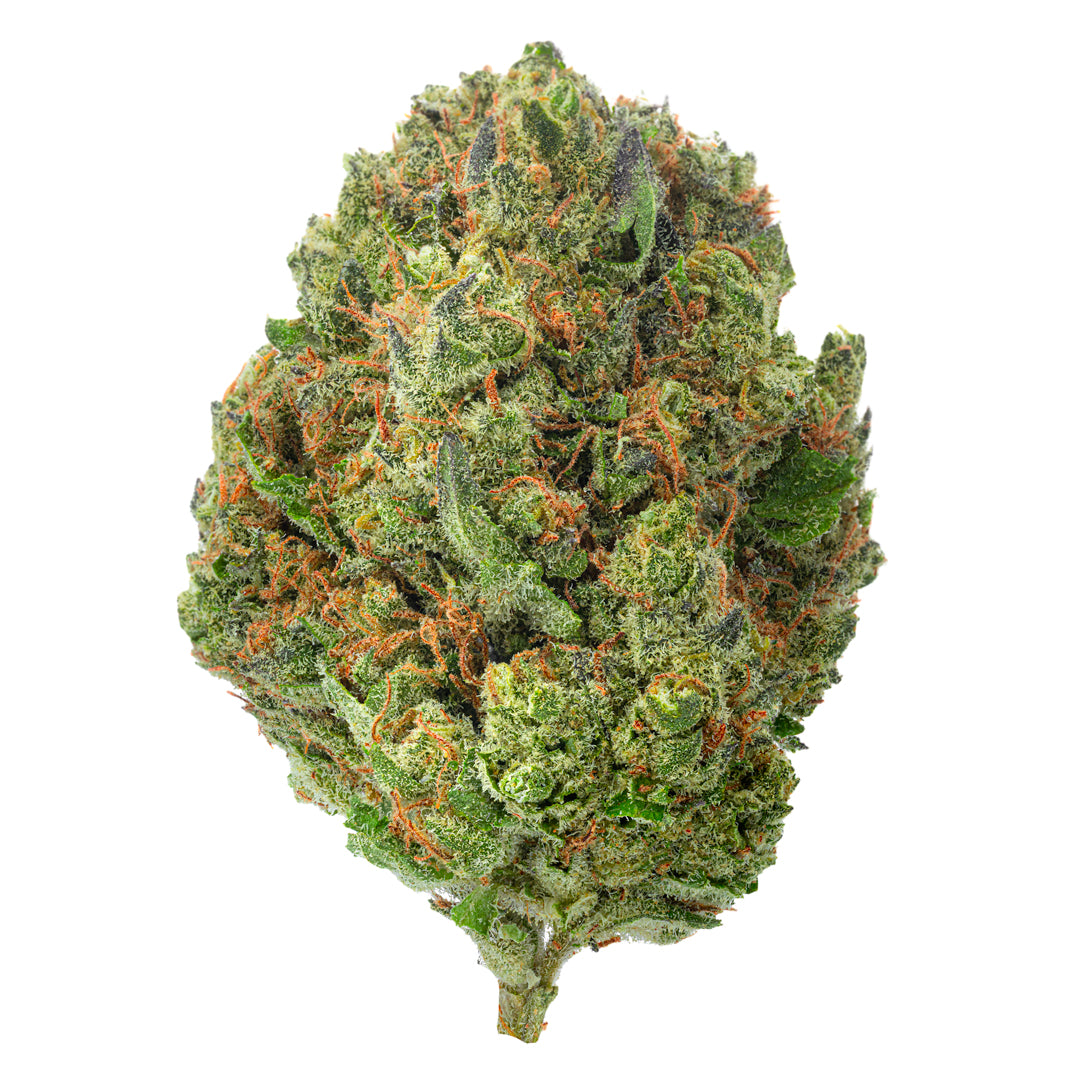 West West Brand - Chocolate Diesel - 14 Grams - Hybrid - Image 3