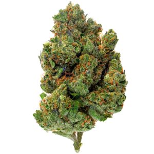 ZAZA - Chocolate Diesel - 4 Grams - Hybrid