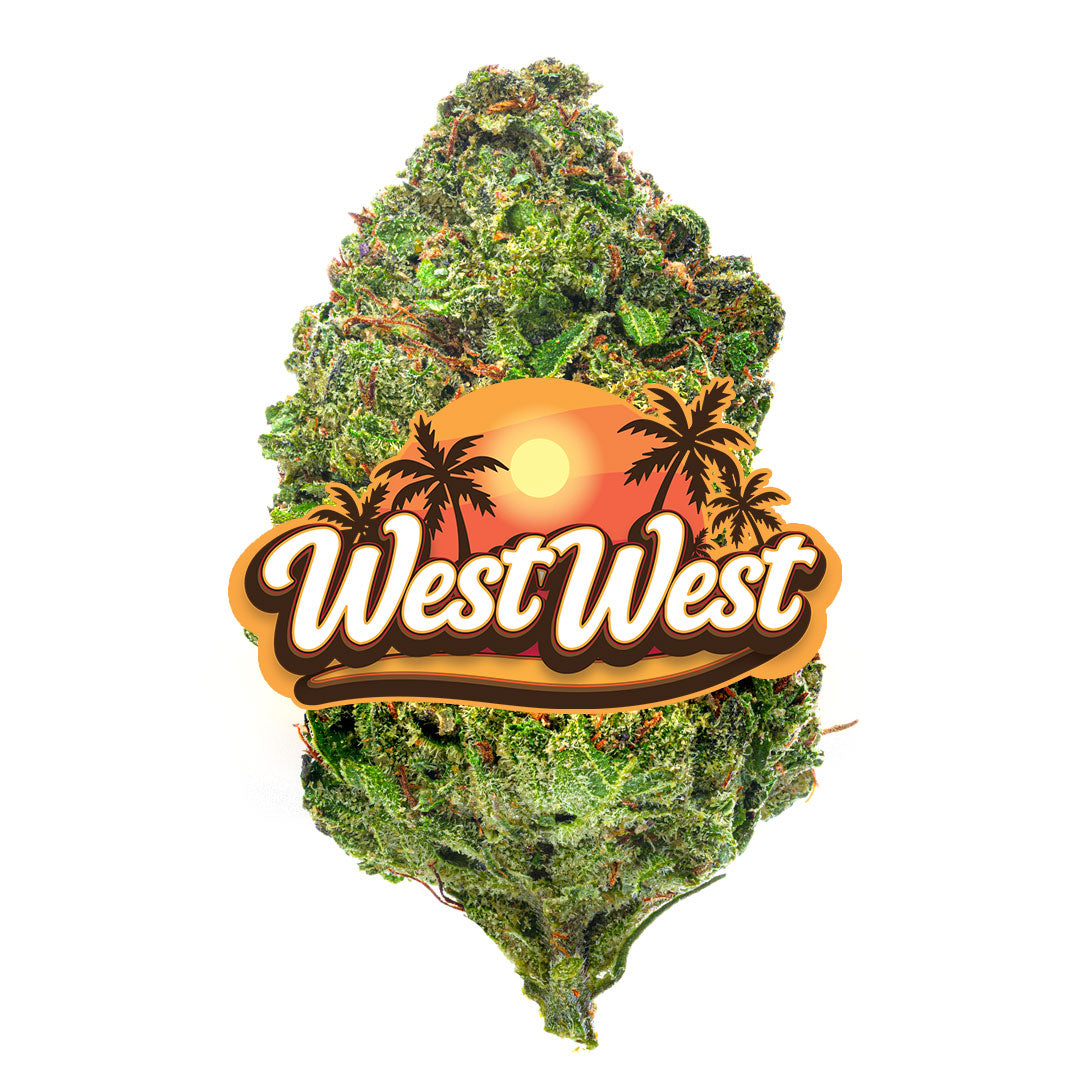 West West Brand - Gummiez - 14 Grams - Hybrid - Image 3