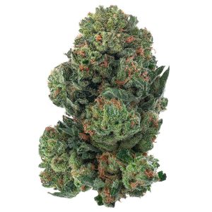 ZAZA - Alien OG Indoor - 28 Grams - Indica