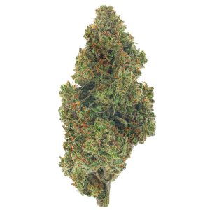 Jack Herer - 14 Grams - Sativa