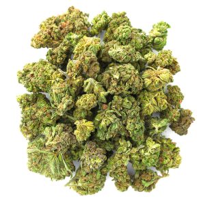 ZAZA - Jungle Gelato - 28 Grams - Indica