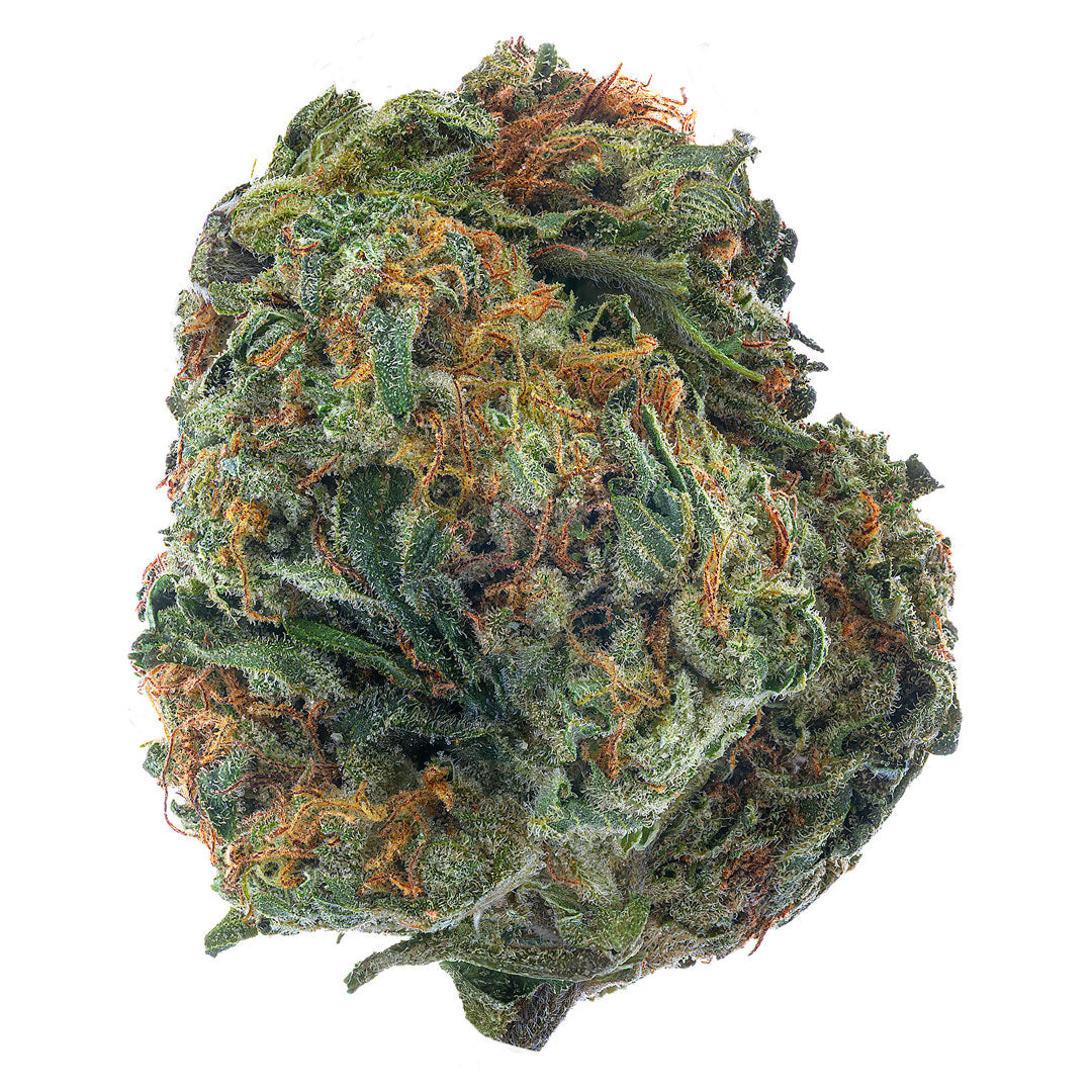 ZAZA - SFV OG - 14 Grams - Indica